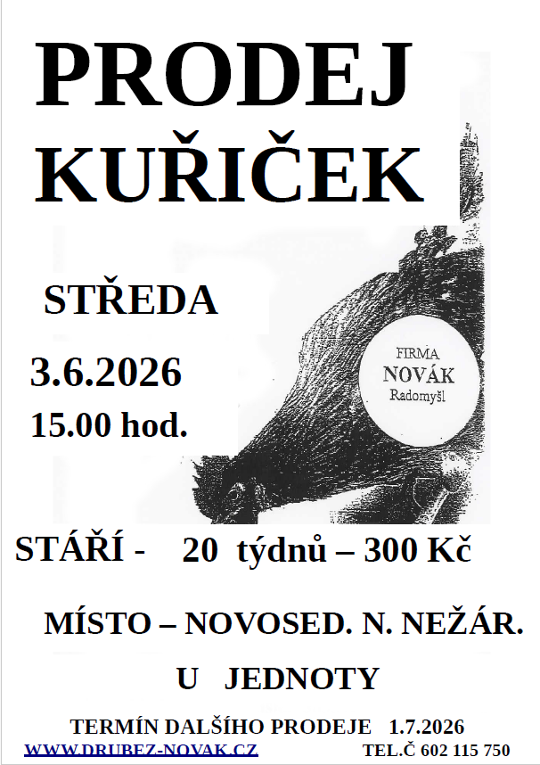 Prodej kuřiček